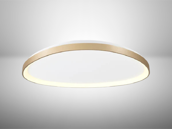 צמודת תקרה MORF