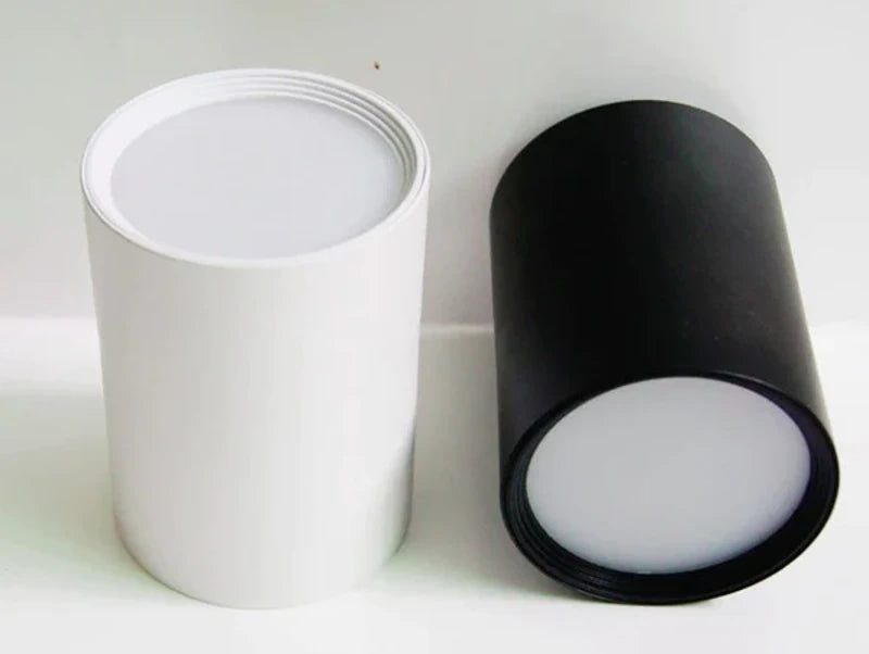 צילינדר צמוד תקרה LIAM