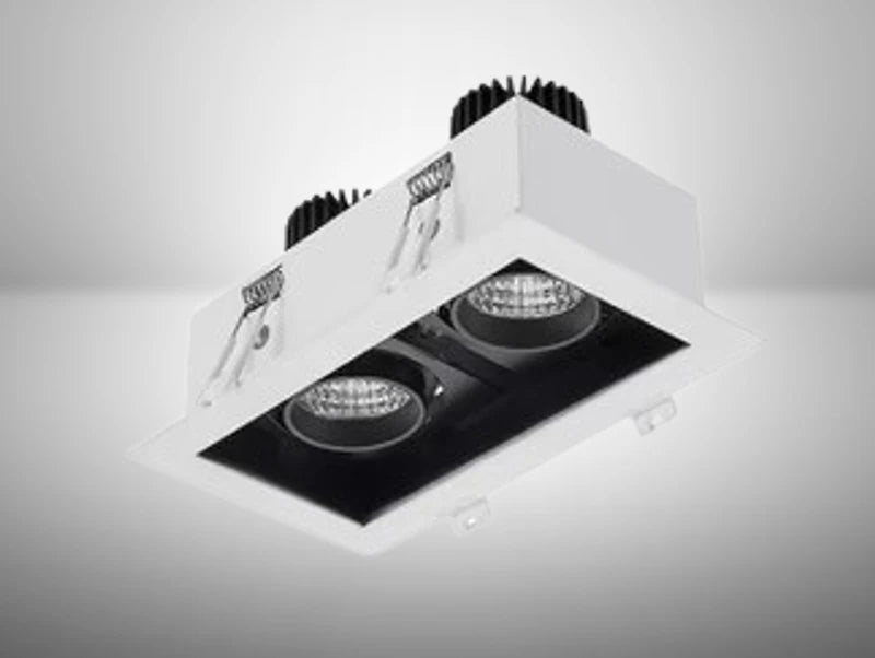 גוף תאורה שקוע כפול בצבע לבן - עודפים