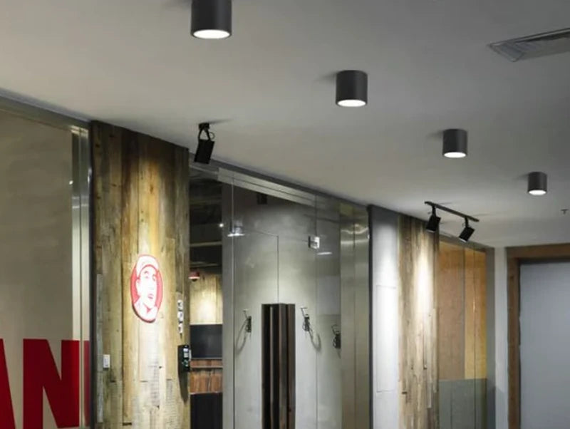 צילינדר צמוד תקרה LIAM