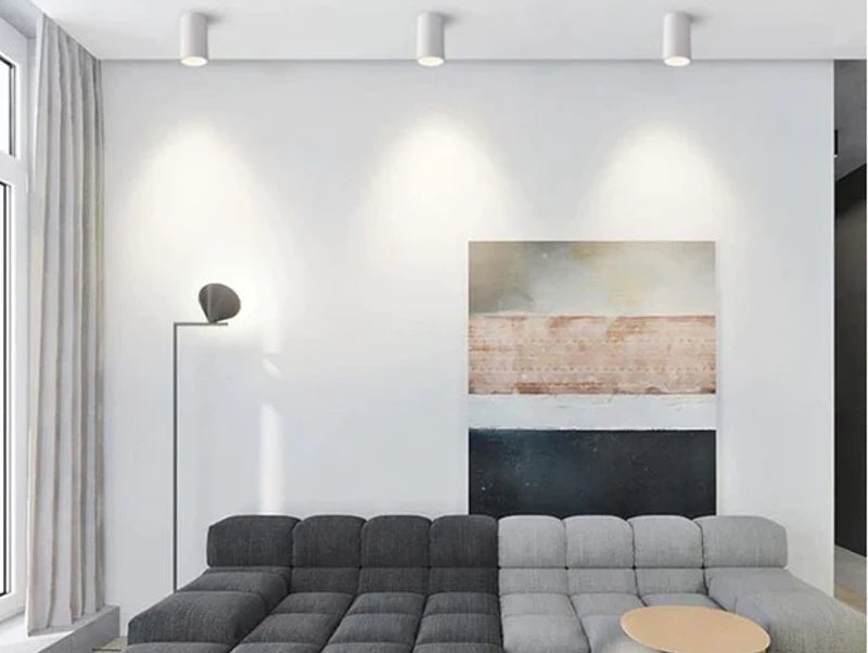 צילינדר צמוד תקרה LIAM