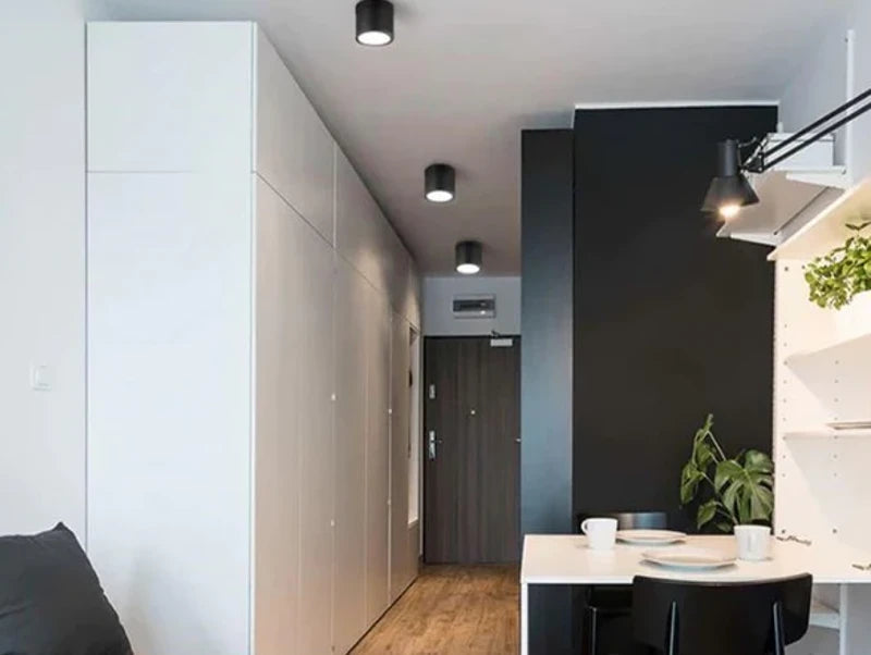 צילינדר צמוד תקרה LIAM