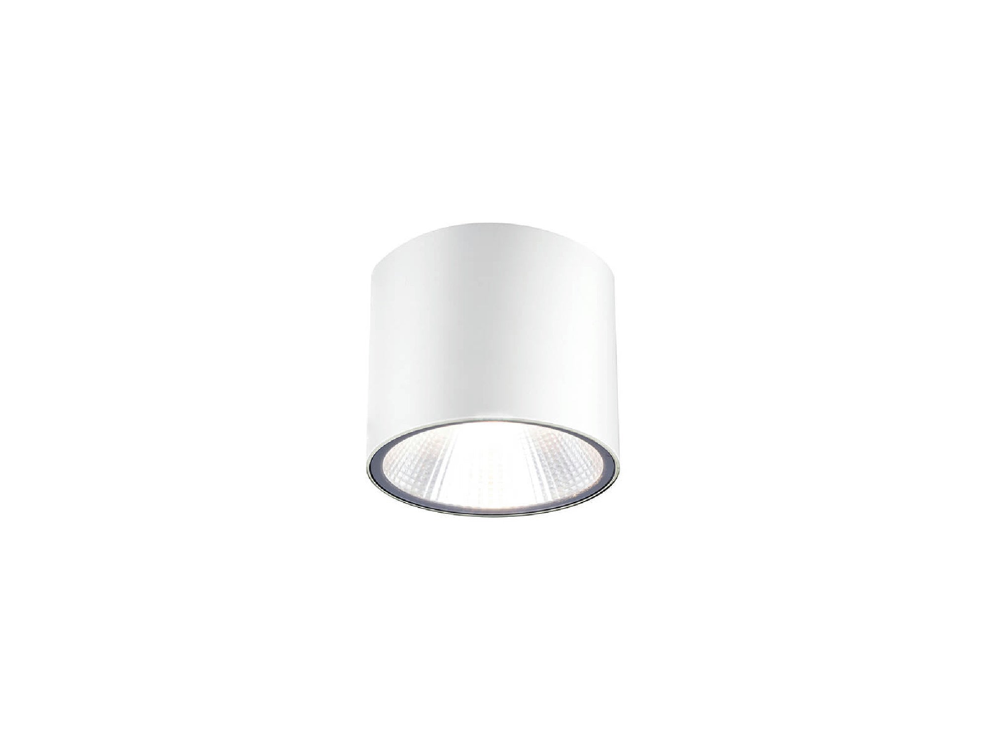 צילינדר צמוד תקרה IP54 20W LESS - Flush Mount Ceiling Light