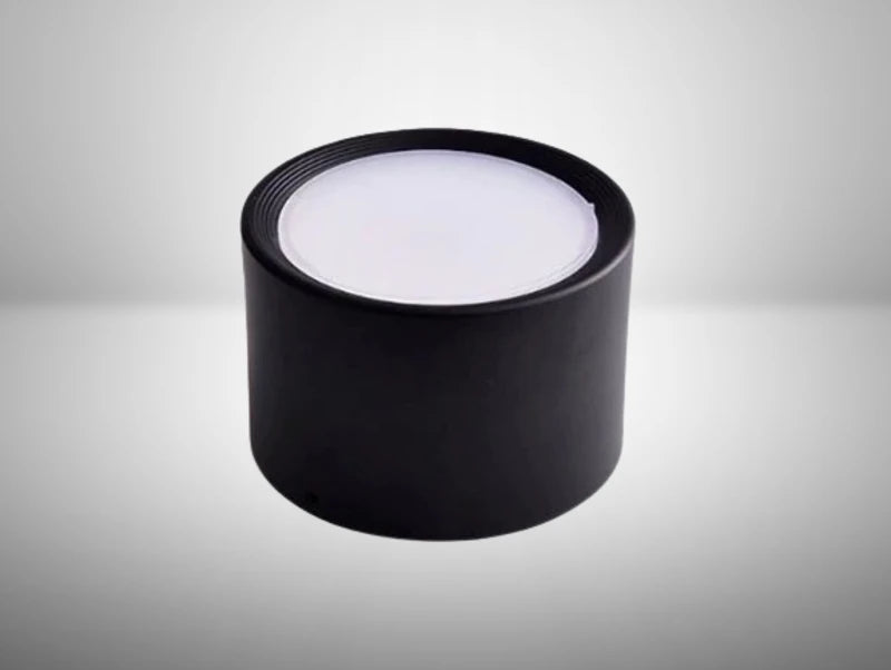 צילינדר צמוד תקרה LIAM