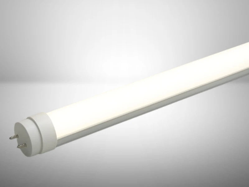 T8 36W 6500K 240ס"מ