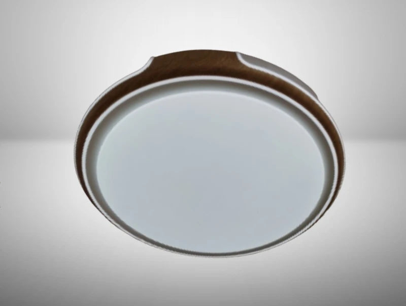 מנורה צמודת תקרה VITAL