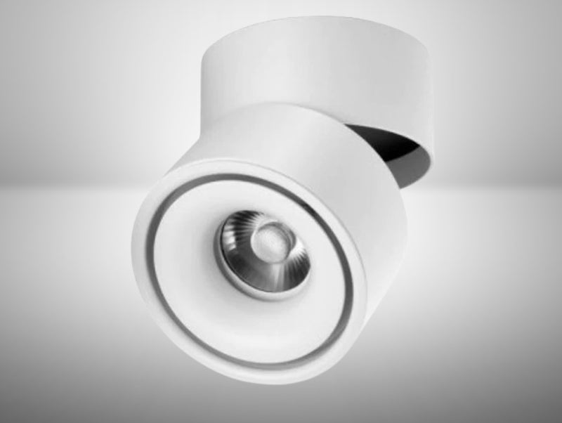 BRIL צילינדר צמוד תקרה מתכוונן