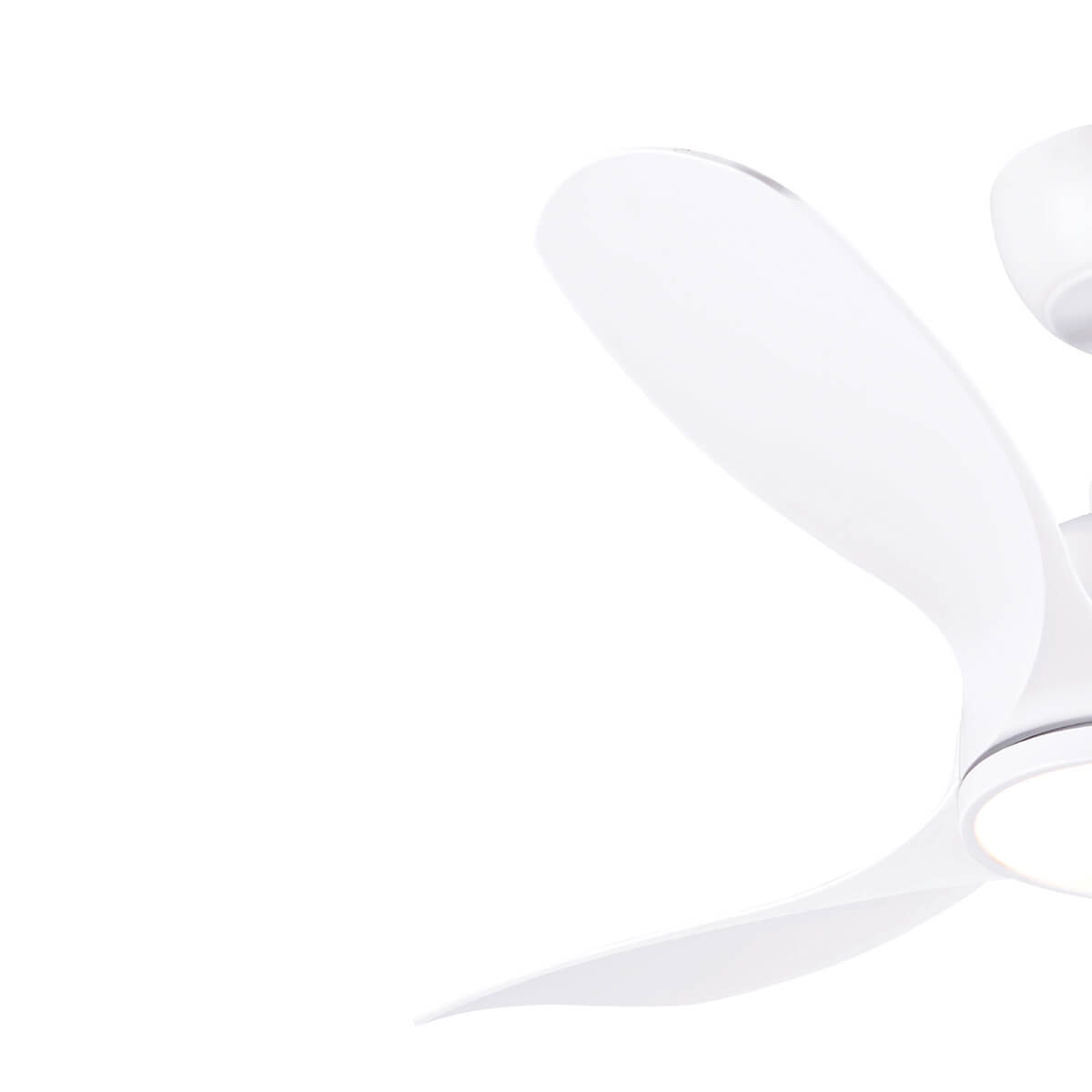 מאוורר תקרה "25W GENESIS10 42 עם שלט- לבן - Ceiling Fan with Light