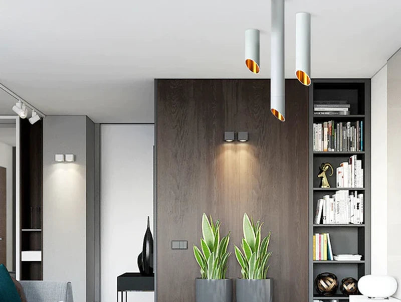 צילינדר מעוצב צמוד תקרה NIV