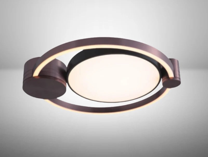 מנורת תקרה HALOZ