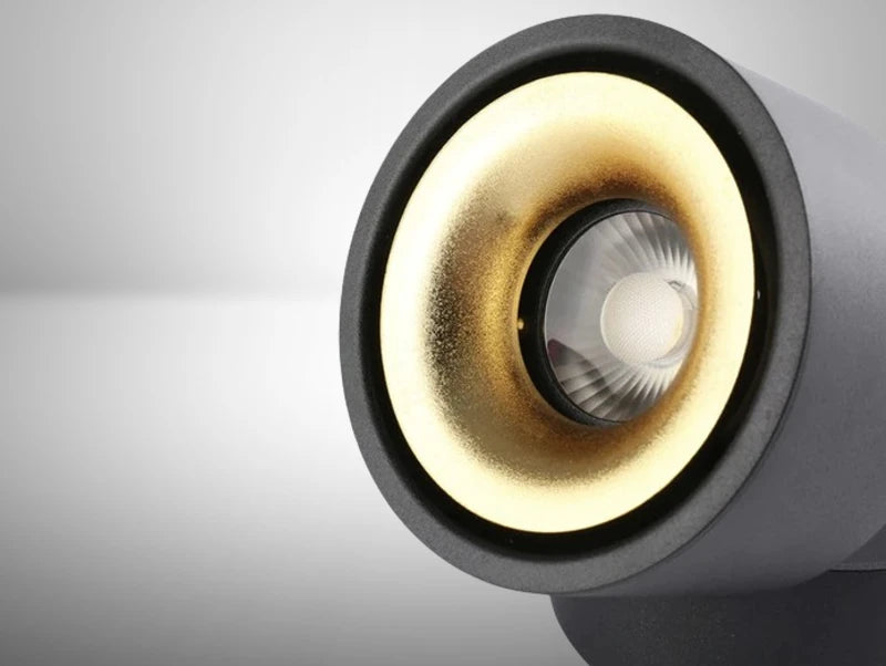 BRIL צילינדר צמוד תקרה מתכוונן