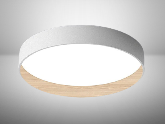 מנורה צמודת תקרה SKINNY OAC - תצוגה בצבע לבן קוטר 50