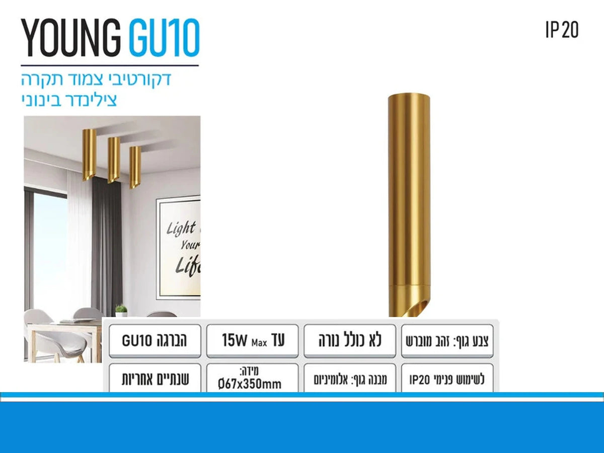 תרשים מוצר של צילינדר תאורה YOUNG GU10 בגימור זהב עם מידות ומאפיינים טכניים