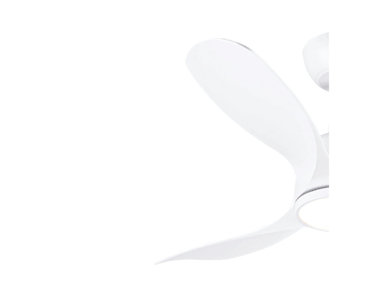 מאוורר תקרה "25W GENESIS10 42 עם שלט- לבן - Ceiling Fan with Light