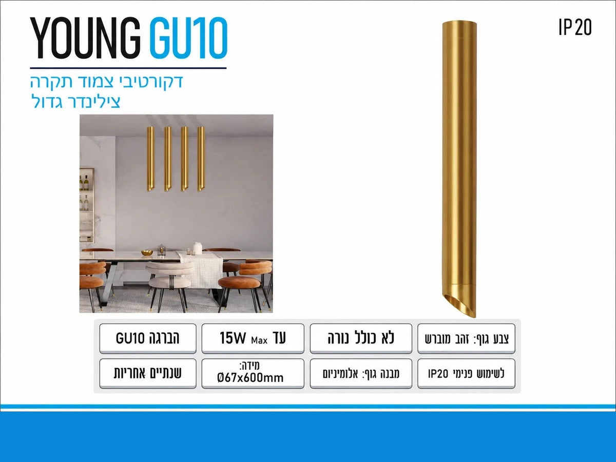 תרשים מוצר של צילינדר תאורה YOUNG GU10 בגימור זהב עם מידות ומאפיינים טכניים