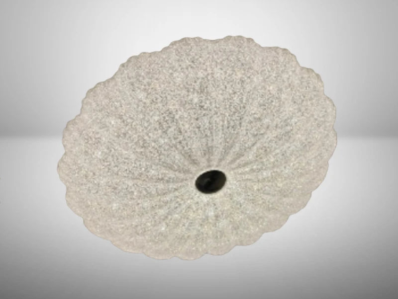 מנורה צמודת תקרה PATRIC