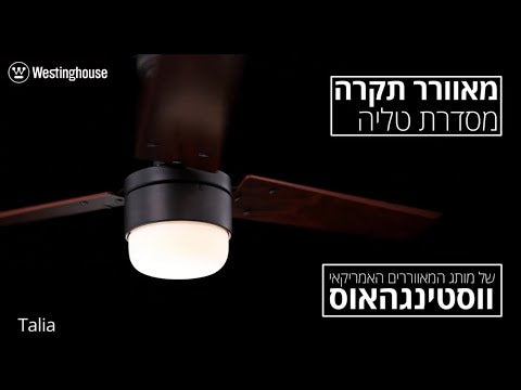 תצוגת וידאו מקרוב של גוף התאורה והכנפיים במאוורר התקרה