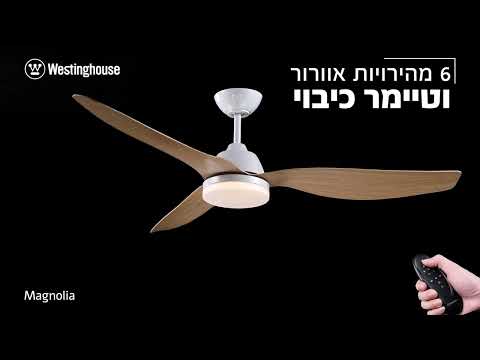 באנר פרסומי למאוורר תקרה שחור עם תאורה מרכזית איכותית.