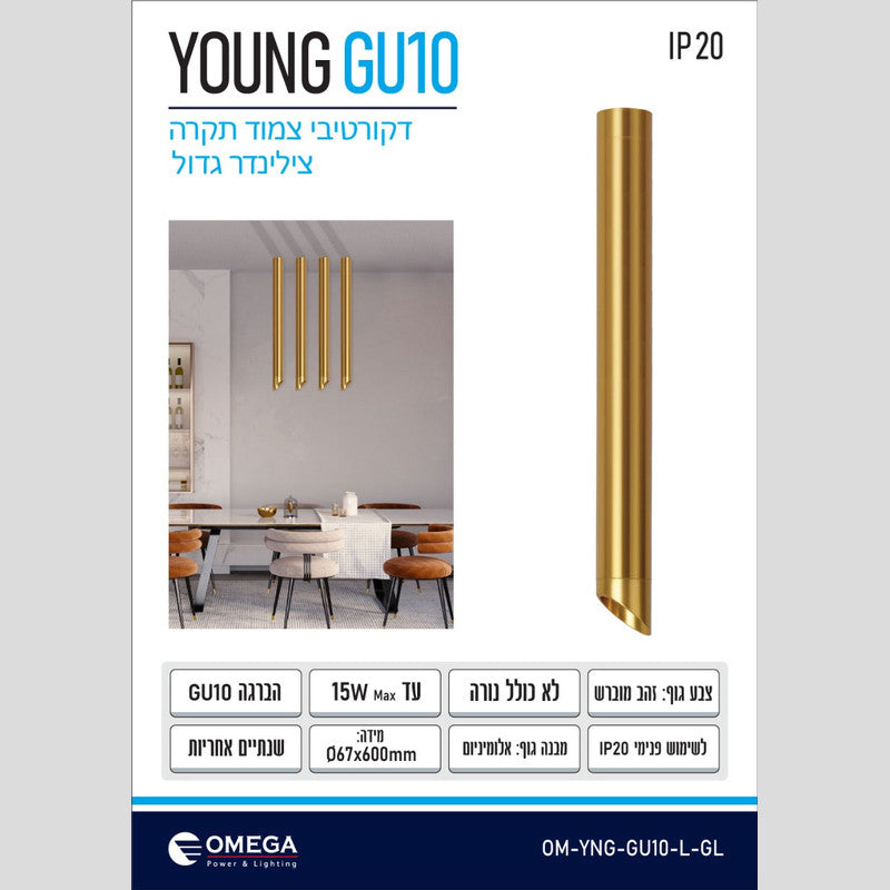 צלינדר צמוד תקרה YOUNG L GU10 זהב מוברש - גוף תאורה צילינדר באתר לדמרקט