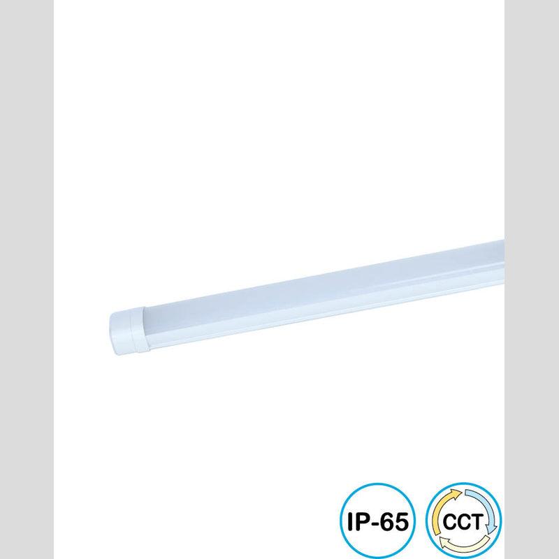 מוגן מים CCT 45W BAKO - Outdoor Wall and Ceiling Lights באתר לדמרקט