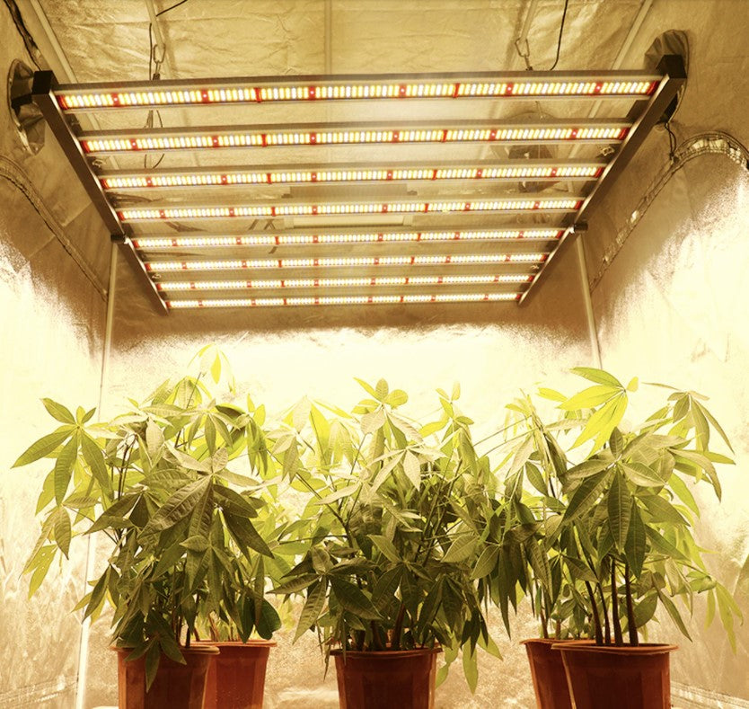 גוף תאורת BARS לגידול צמחים