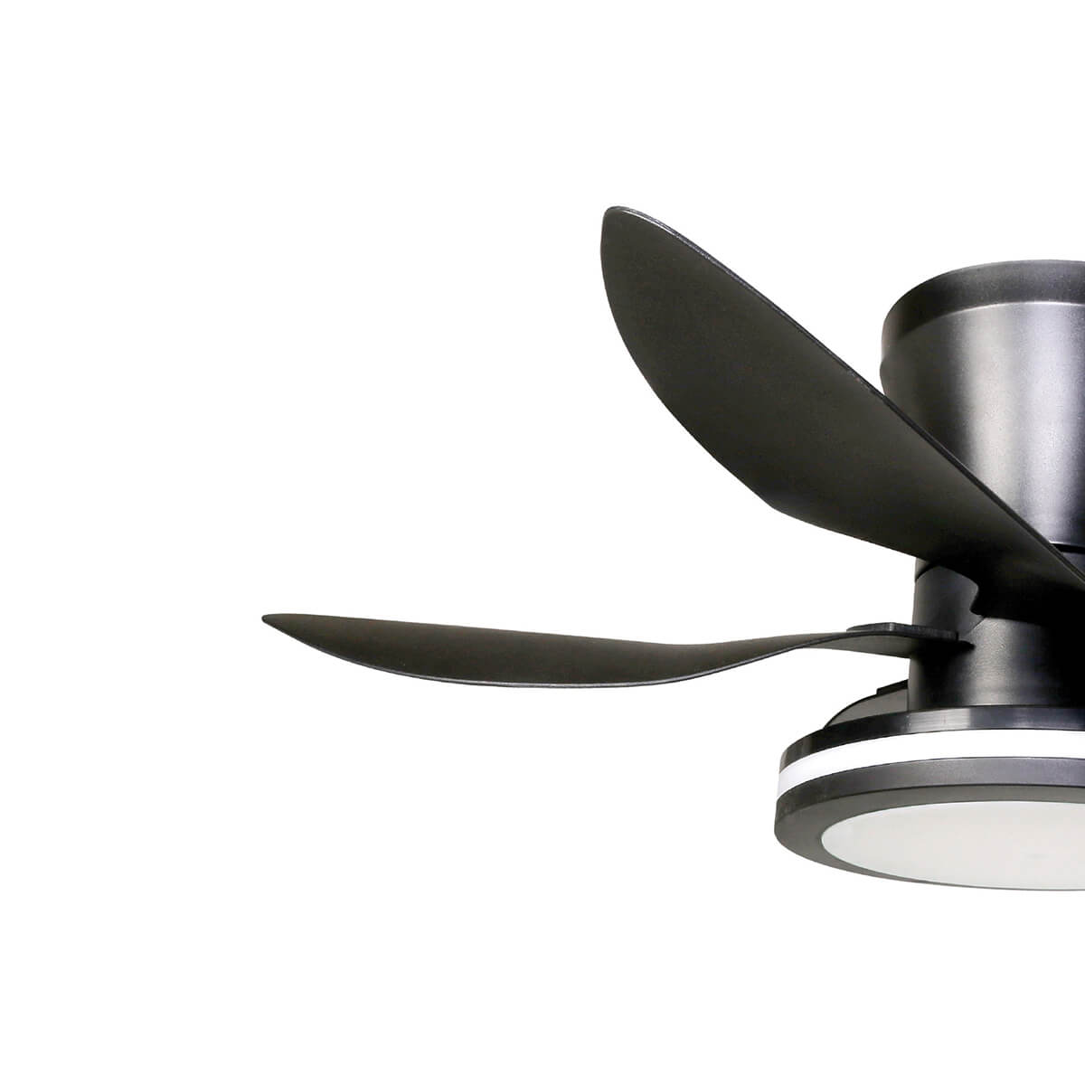 מאוורר תקרה "30W CAT 30 עם שלט- שחור - Ceiling Fan with Light