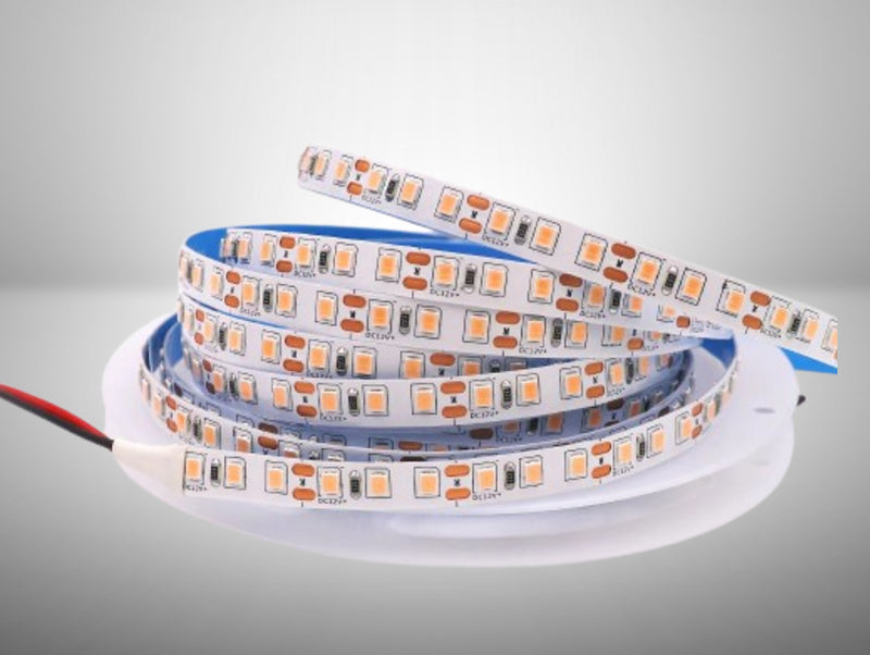 פס לד 120L/M 12V  באורך 10 מטר