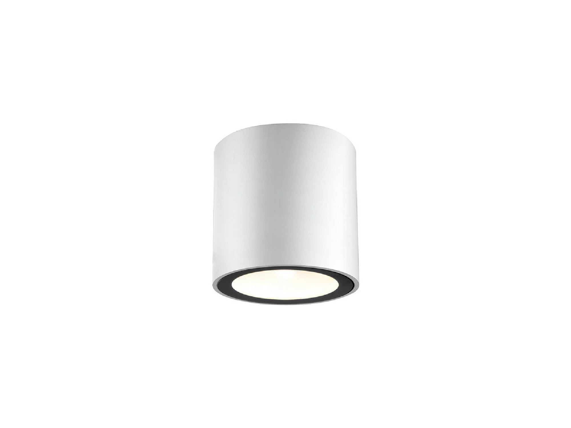 צילינדר צמוד תקרה IP65 10W LESS - Flush Mount Ceiling Light