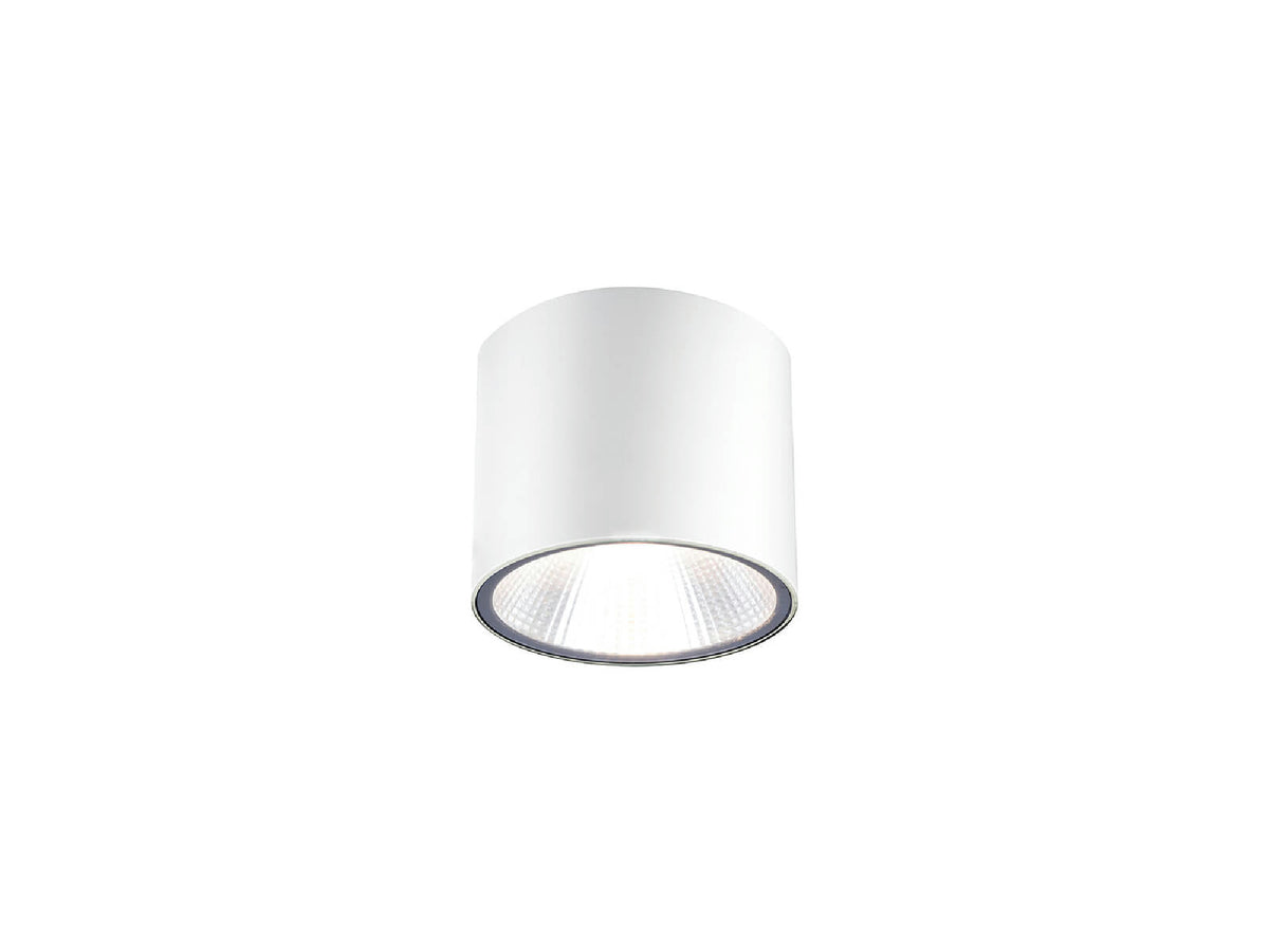 צילינדר צמוד תקרה IP54 20W LESS - Flush Mount Ceiling Light