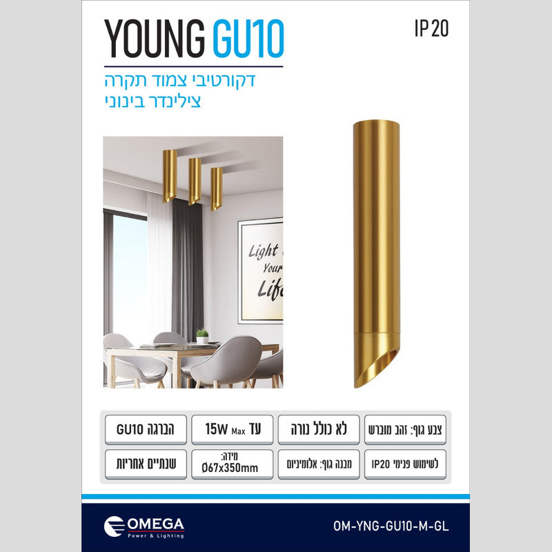 צלינדר צמוד תקרה  YOUNG M GU10 זהב מוברש - גוף תאורה צילינדר באתר לדמרקט
